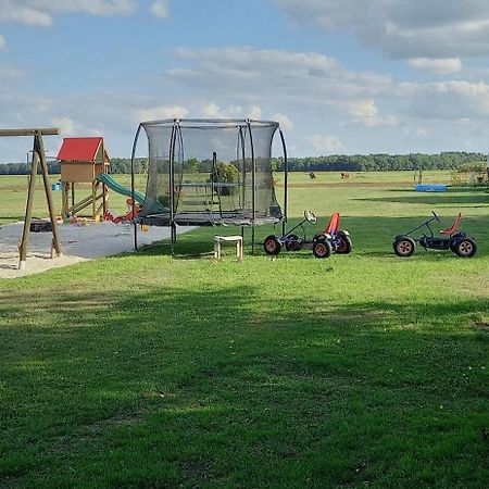 Comfort Safaritent 6 Pers En Mini Camping Zwiggelte 외부 사진