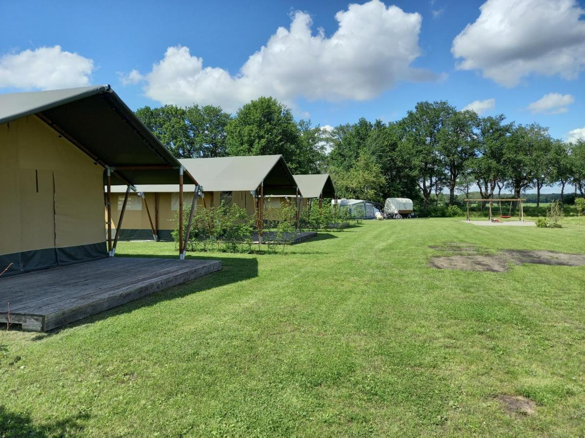Comfort Safaritent 6 Pers En Mini Camping Zwiggelte 외부 사진