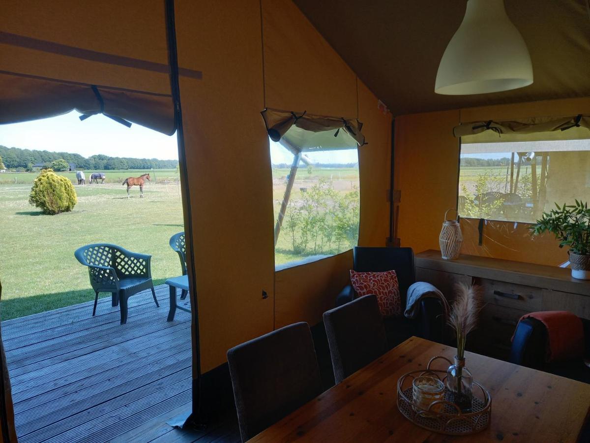 Comfort Safaritent 6 Pers En Mini Camping Zwiggelte 외부 사진