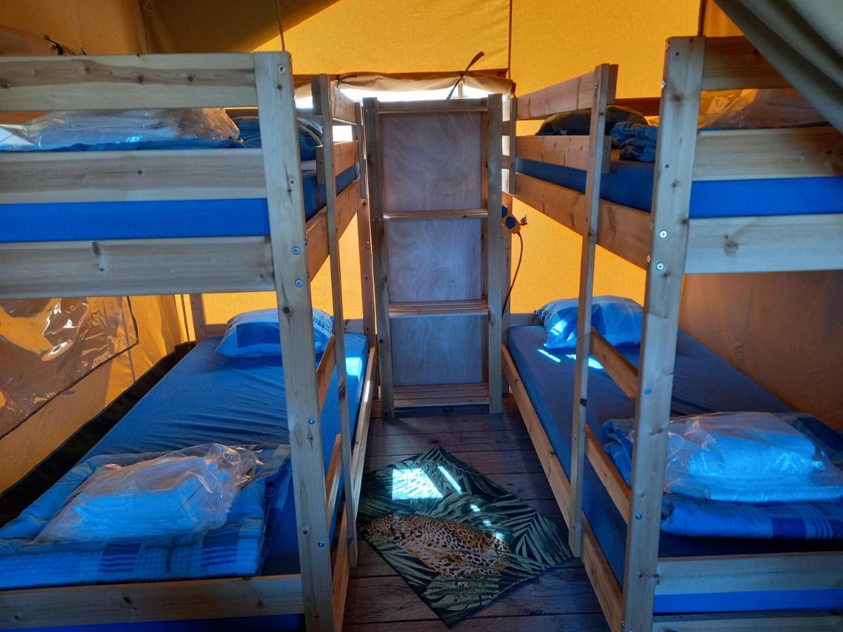 Comfort Safaritent 6 Pers En Mini Camping Zwiggelte 외부 사진